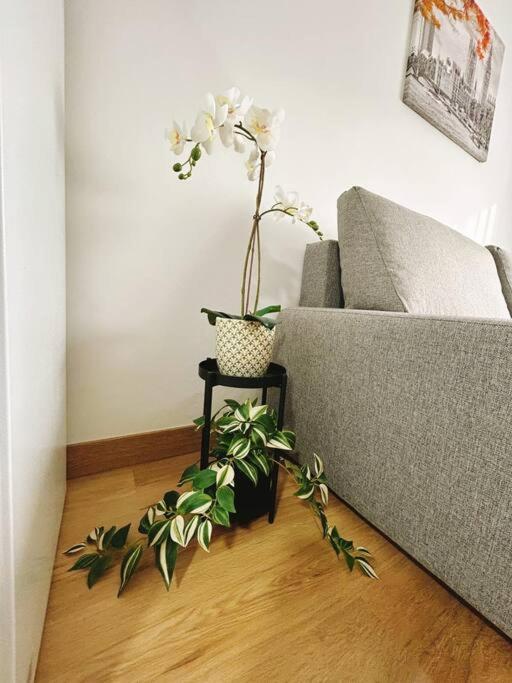 Apartment In The Heart Of Малага Екстериор снимка